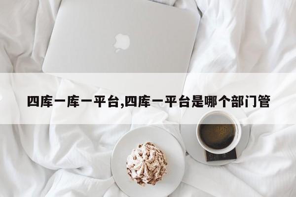 四库一库一平台,四库一平台是哪个部门管