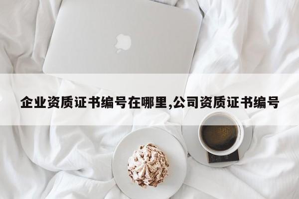 企业资质证书编号在哪里,公司资质证书编号